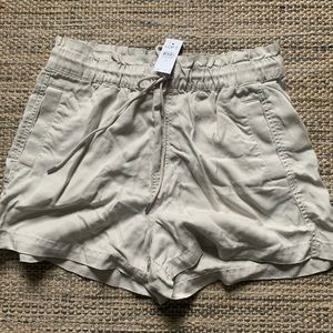 NWT Loft Shorts M